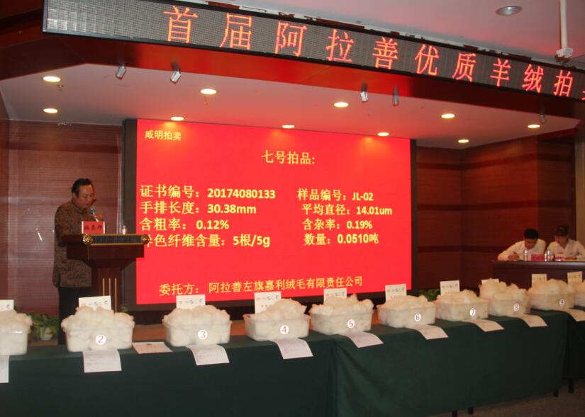 創(chuàng)新引領(lǐng)未來，品質(zhì)鑄就輝煌 首屆阿拉善優(yōu)質(zhì)羊絨拍賣會(huì)盛大舉行