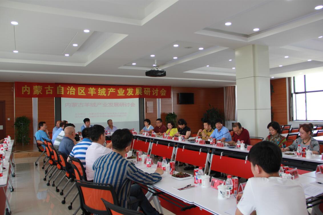 齊心協(xié)力，共謀內(nèi)蒙古羊絨產(chǎn)業(yè)發(fā)展新思路