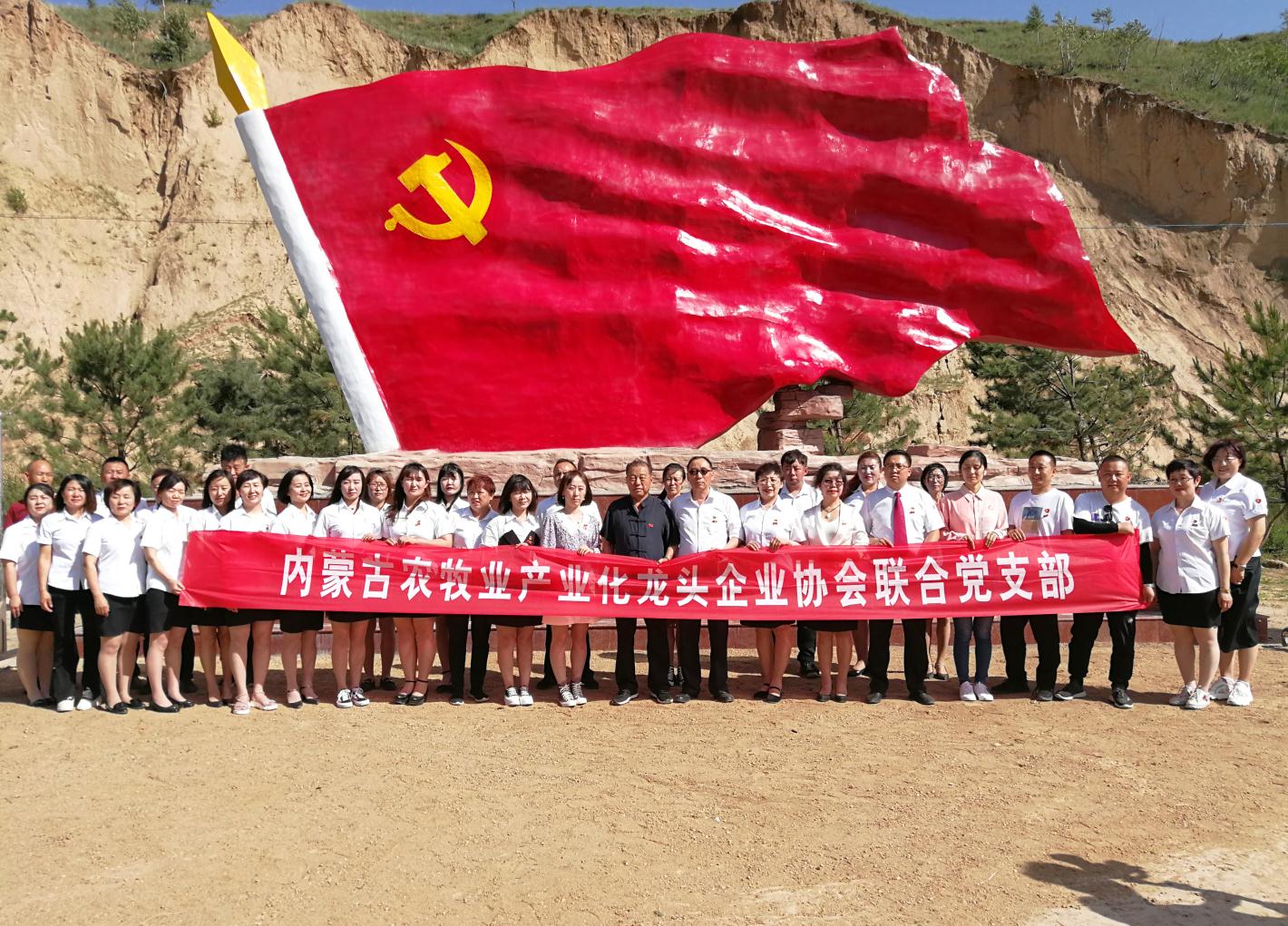 內蒙古農牧業(yè)產(chǎn)業(yè)化龍頭企業(yè)協(xié)會走進石人灣村開展“辦實事、解難題，送溫暖，傳黨恩”公益活動